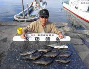 鷹島のカンドリでグレ・チヌ、ソイの釣果も
