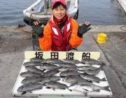 鷹島のカンドリでグレ21匹に良型チヌ♪