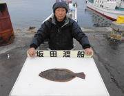 黒島の筏のノマセ釣りでヒラメ52㎝！