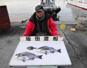 黒島の筏で良型チヌ2枚