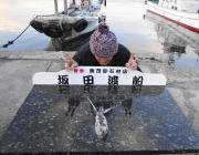 【29日】ヤエンでのアオリイカ釣果