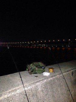 西宮浜、ぶっこみ釣りでアナゴの釣果