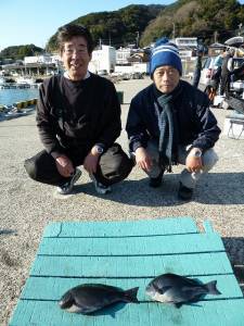 神谷沖一文字内向きでカゴ釣り　グレ30cm…