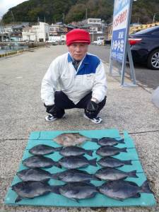 ヒラバエでカゴ釣り、グレ10匹オーバー、ウ…