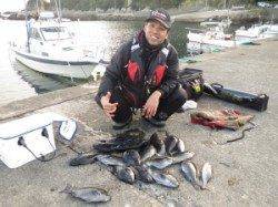 串本の磯フカセのグレが好調です！