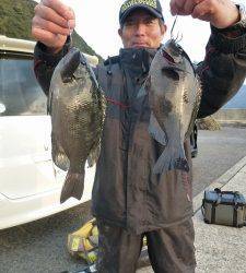 神谷の磯　カゴでグレ・フカセでチヌ
