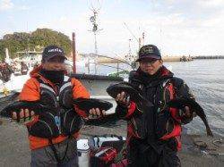 串本東部、グレは昼から良く釣れてるみたいです