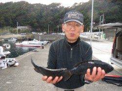 大島で42.3cmの立派なグレ！