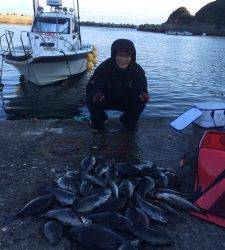 沖の赤島と赤島の壁の釣果☆グレ大漁！3人で29枚