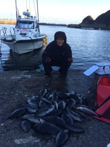沖の赤島と赤島の壁の釣果☆グレ大漁！3人で…