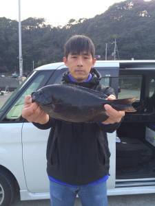 うねりがきつかったですがグレ釣れました!(…