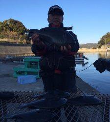 串本東部、40cmのオーバーのグレも釣れました！