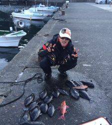 地のカンゴメ、下り潮が入りグレ釣れてました