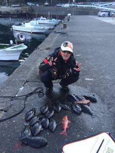 地のカンゴメ、下り潮が入りグレ釣れてました…