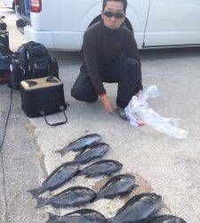 串本東部エリア、腹ボテの良型グレも釣れています♪
