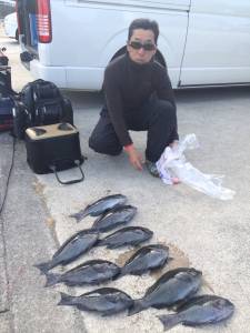 串本東部エリア、腹ボテの良型グレも釣れてい…