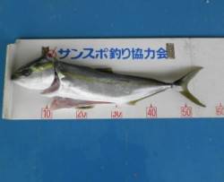 内浦湾の波止でジギング　ハマチがHITしま…