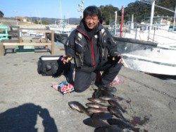 助八でもグレ好釣！フカセ釣果