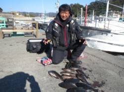 助八でもグレ好釣！フカセ釣果