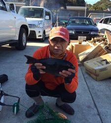 串本東部エリア、各磯でのフカセでグレの釣果☆