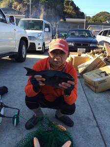 串本東部エリア、各磯でのフカセでグレの釣果…