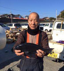 串本東部エリア、各磯でのフカセでグレの釣果☆