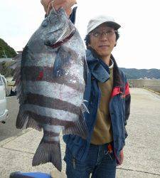 底釣りで立派なサンバソウ★沖一文字内向きでの釣果