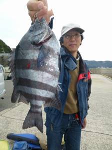 底釣りで立派なサンバソウ★沖一文字内向きで…