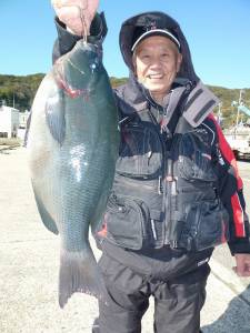 ケムリ島でのフカセ釣り　40cmのチヌ