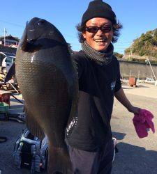 ジンヨモの壁＆赤島の三角　良型グレが釣れています♪