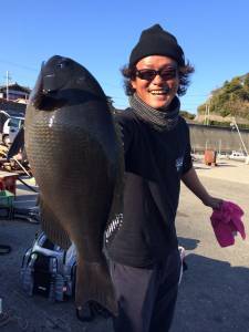ジンヨモの壁＆赤島の三角　良型グレが釣れています♪