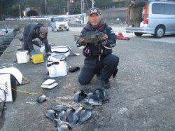 赤島の三角、40センチオーバーのグレも釣れました！