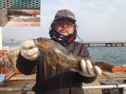 須磨海釣り公園　ウキ流し釣りでアイナメ38cm☆