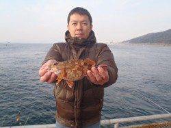 須磨海釣り公園　ウキ流し釣りでガシラの釣果