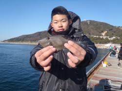 シラサの胴突でウマヅラハギ★須磨海づり公園…