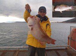 須磨海釣り公園、ブッコミ釣りで記録賞のコブダイＧＥＴ！