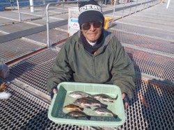 須磨海釣り公園、26cmまでのメバルの釣果