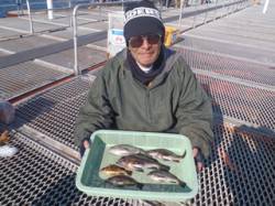 須磨海釣り公園、26cmまでのメバルの釣果…