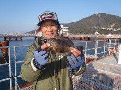 須磨海釣り公園、ウキ流しで良型のメバル♪