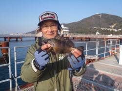 須磨海釣り公園、ウキ流しで良型のメバル♪