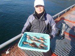 シラサエビの落とし込みで根魚釣り♪須磨海釣り公園