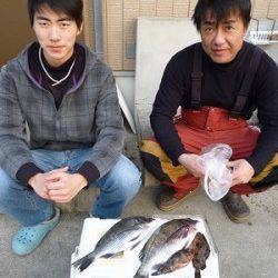 湯浅の磯でのチヌ釣果