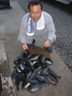 磯グレ好調！ 34cmまでを27匹♪