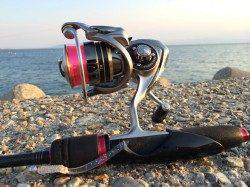 トゥイッチ→フォールの後に微かなアタリでセイゴ