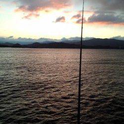 雪の降る中田ノ浦漁港でコウイカ狙いのエギング