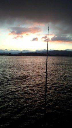 雪の降る中田ノ浦漁港でコウイカ狙いのエギング