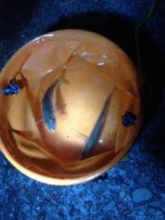 スーパースローで中層トレース中にアタリ、久…