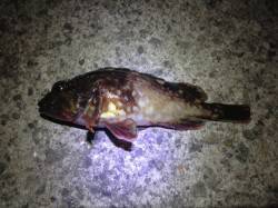 ボトムをリフト&フォールで何とかボ…