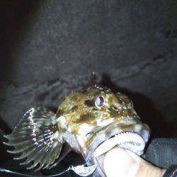 モトキ様より【ジャングルジム製品】のモニターレポート