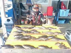 小平瀬や大イナヤなど萩尾の磯グレ好調！